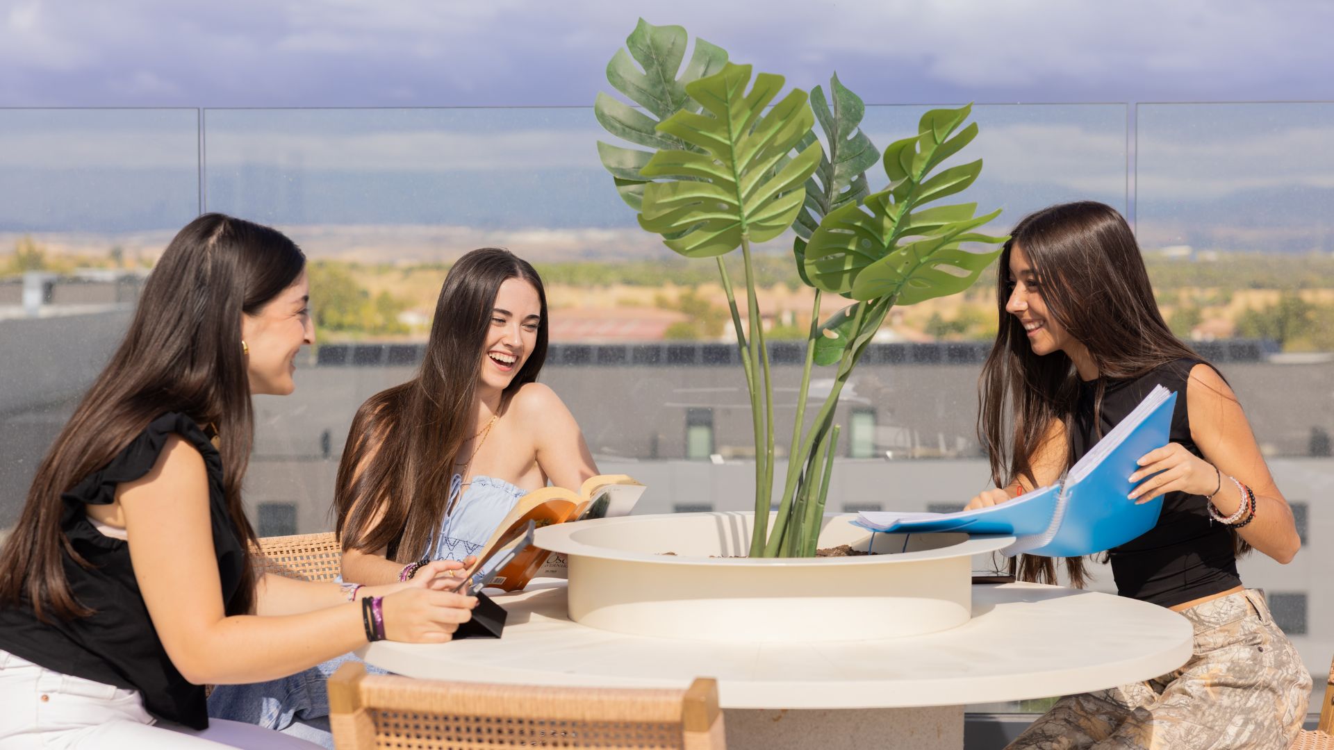 Common area or terrace with students studying in a relaxed atmosphere